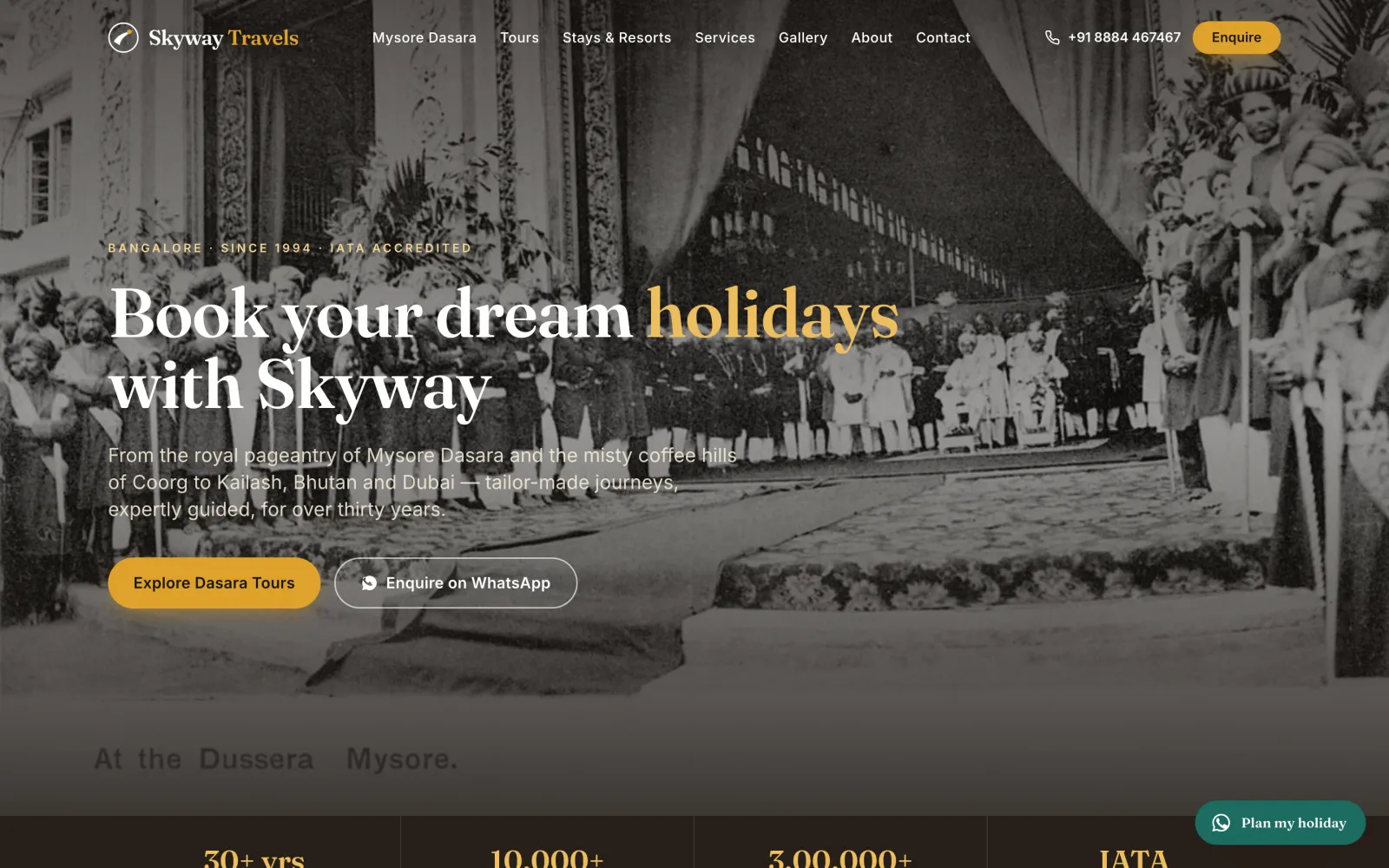 Skyway International Travels — homepage